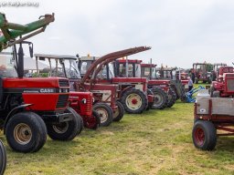 ws 381